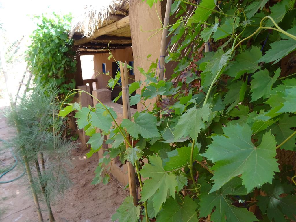 Auberge Tigida محاميد الغزلان المظهر الخارجي الصورة